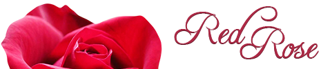 Floraria Red Rose